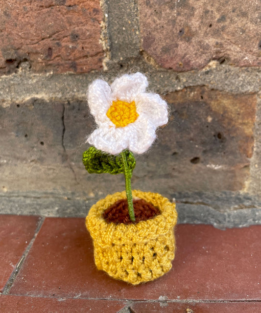 Mini Crochet Flowerpots