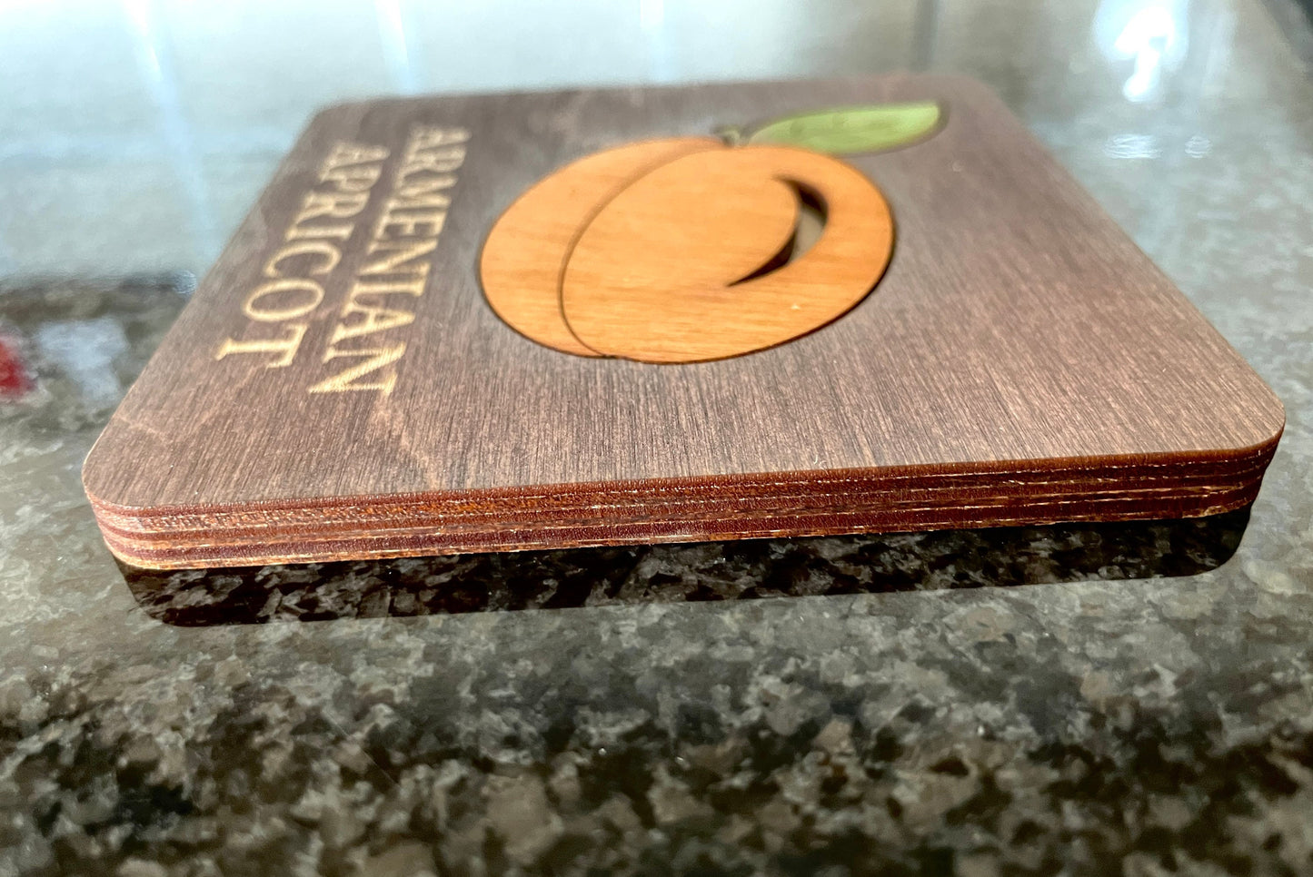Armenian Apricot Coaster we