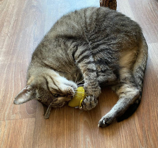 Crochet Catnip Mouse Toy - 4 colours!