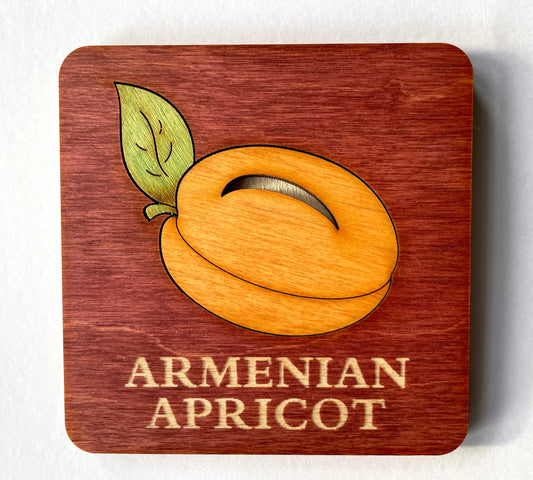 Armenian Apricot Coaster we