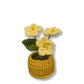 Mini Crochet Flowerpots