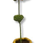 Mini Crochet Flowerpots