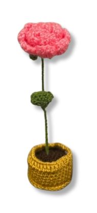Mini Crochet Flowerpots