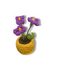 Mini Crochet Flowerpots