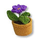 Mini Crochet Flowerpots
