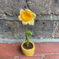 Mini Crochet Flowerpots