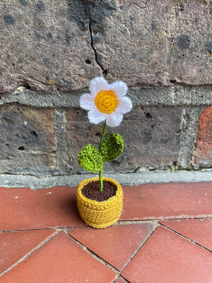 Mini Crochet Flowerpots