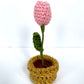 Mini Crochet Flowerpots