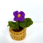 Mini Crochet Flowerpots