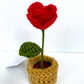 Mini Crochet Flowerpots