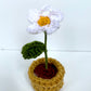 Mini Crochet Flowerpots