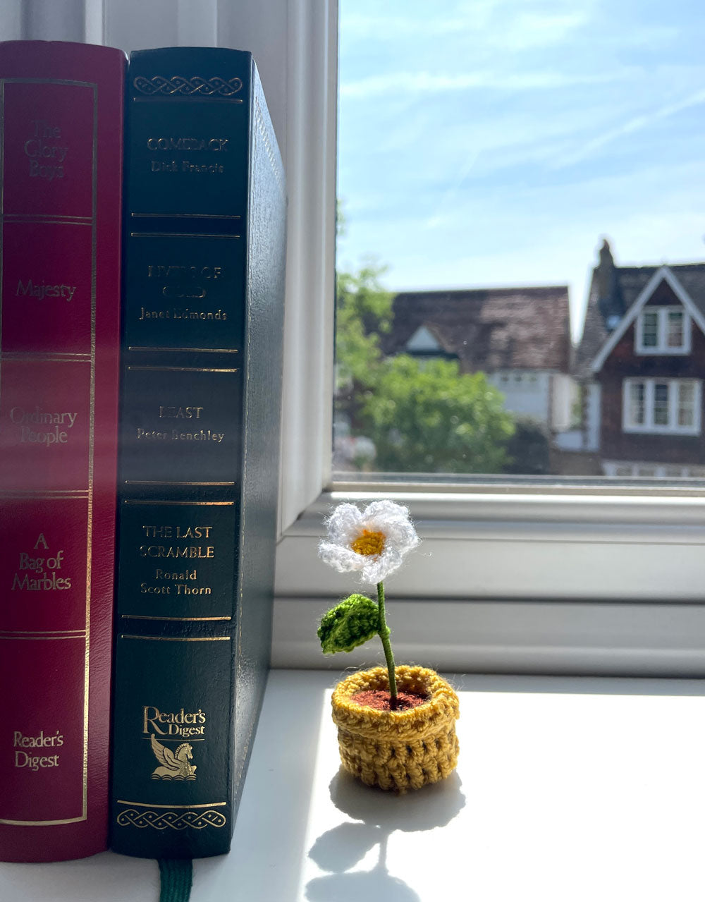 Mini Crochet Flowerpots