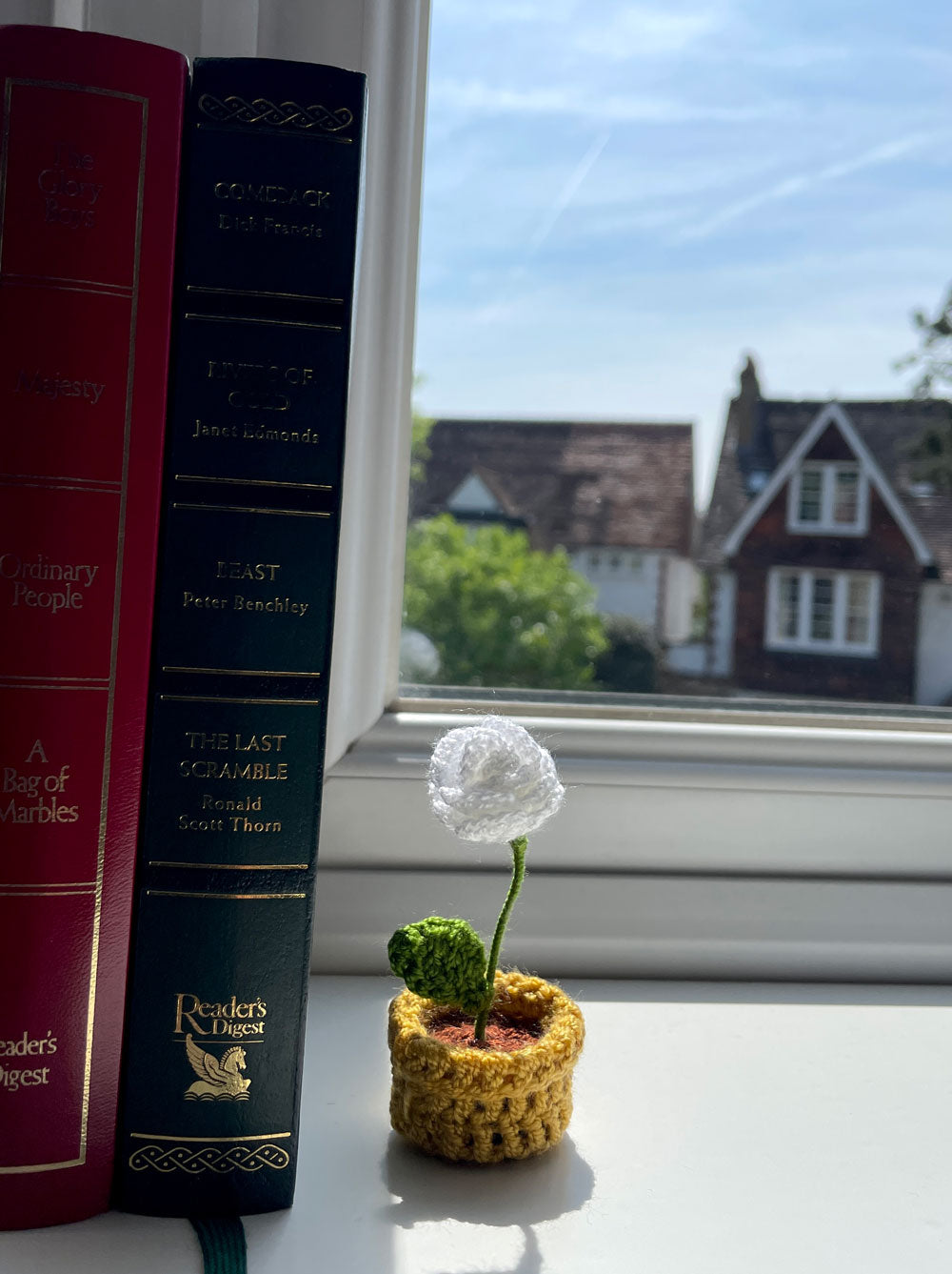 Mini Crochet Flowerpots