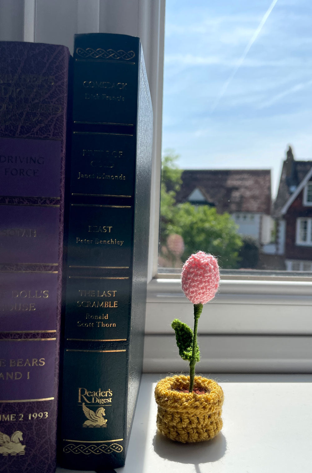 Mini Crochet Flowerpots