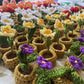 Mini Crochet Flowerpots