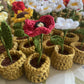 Mini Crochet Flowerpots