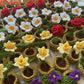 Mini Crochet Flowerpots