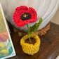 Mini Crochet Flowerpots