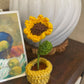 Mini Crochet Flowerpots