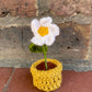 Mini Crochet Flowerpots