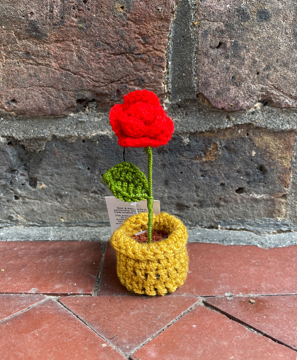 Mini Crochet Flowerpots
