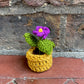 Mini Crochet Flowerpots