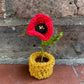 Mini Crochet Flowerpots