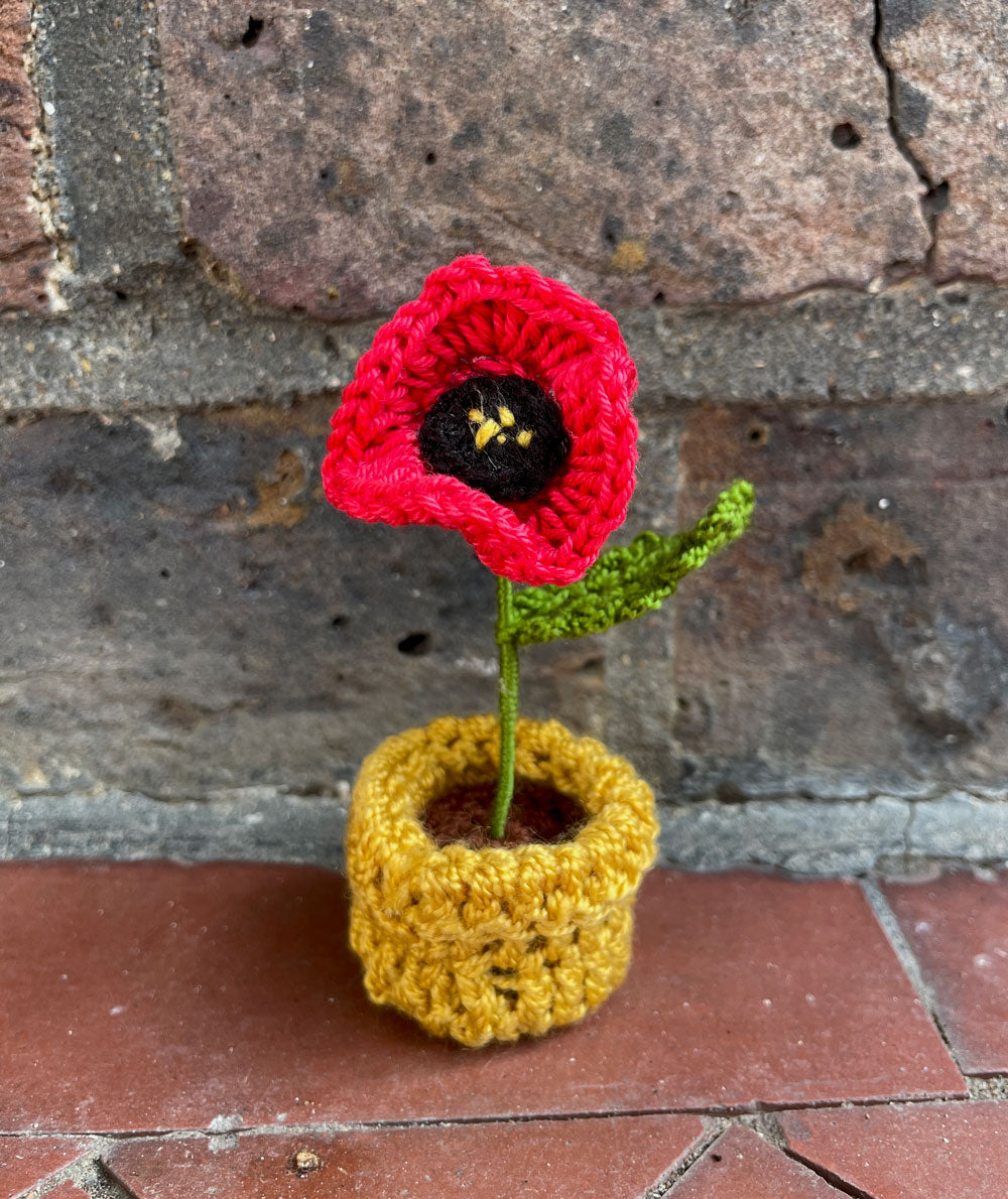 Mini Crochet Flowerpots