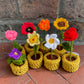 Mini Crochet Flowerpots