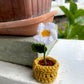 Mini Crochet Flowerpots