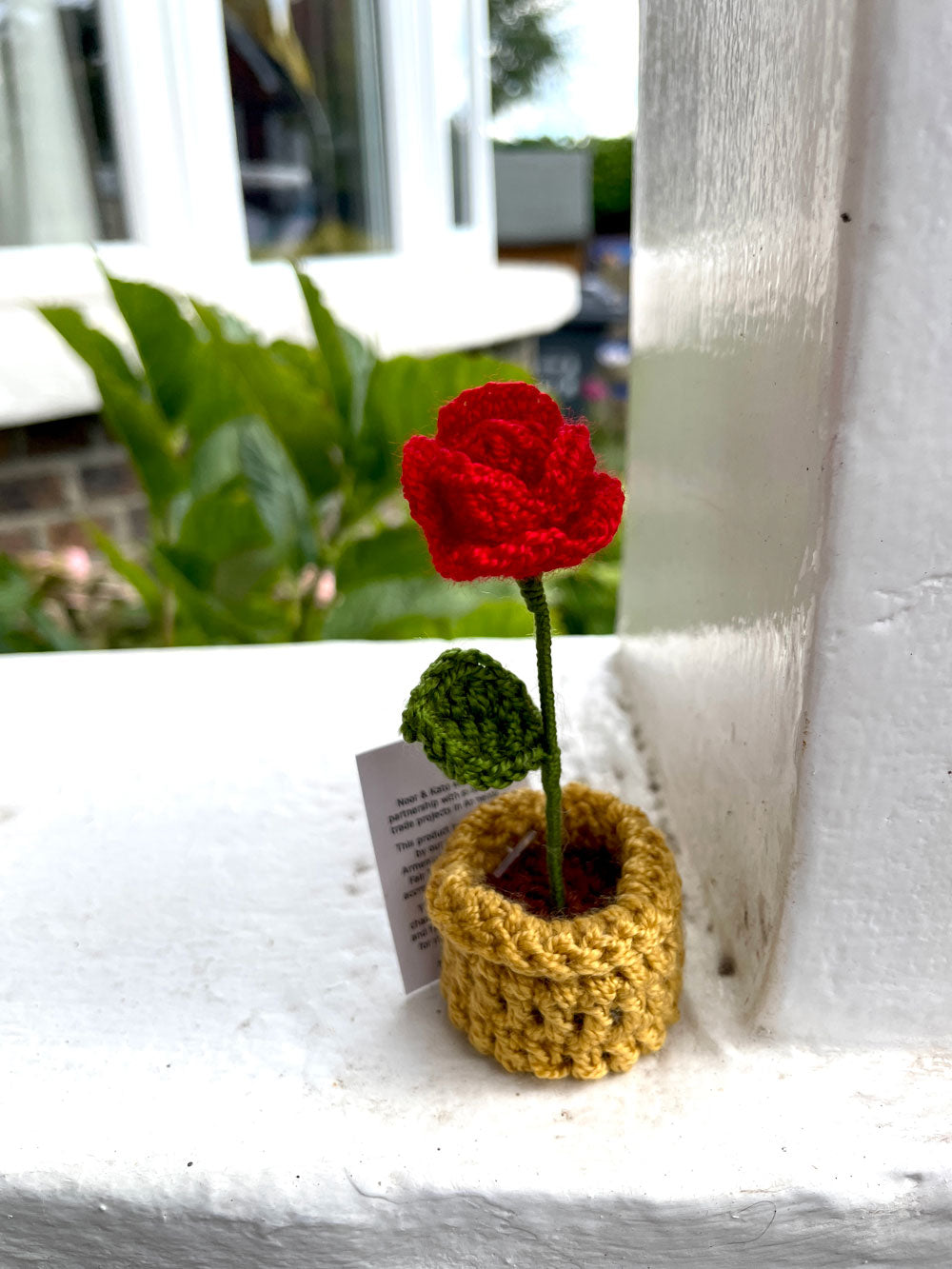Mini Crochet Flowerpots