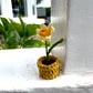 Mini Crochet Flowerpots