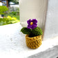 Mini Crochet Flowerpots