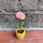 Mini Crochet Flowerpots