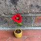 Mini Crochet Flowerpots