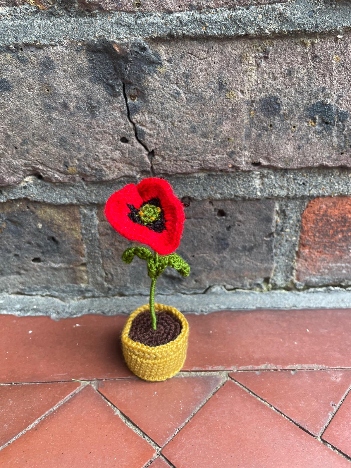 Mini Crochet Flowerpots