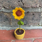 Mini Crochet Flowerpots