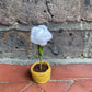 Mini Crochet Flowerpots