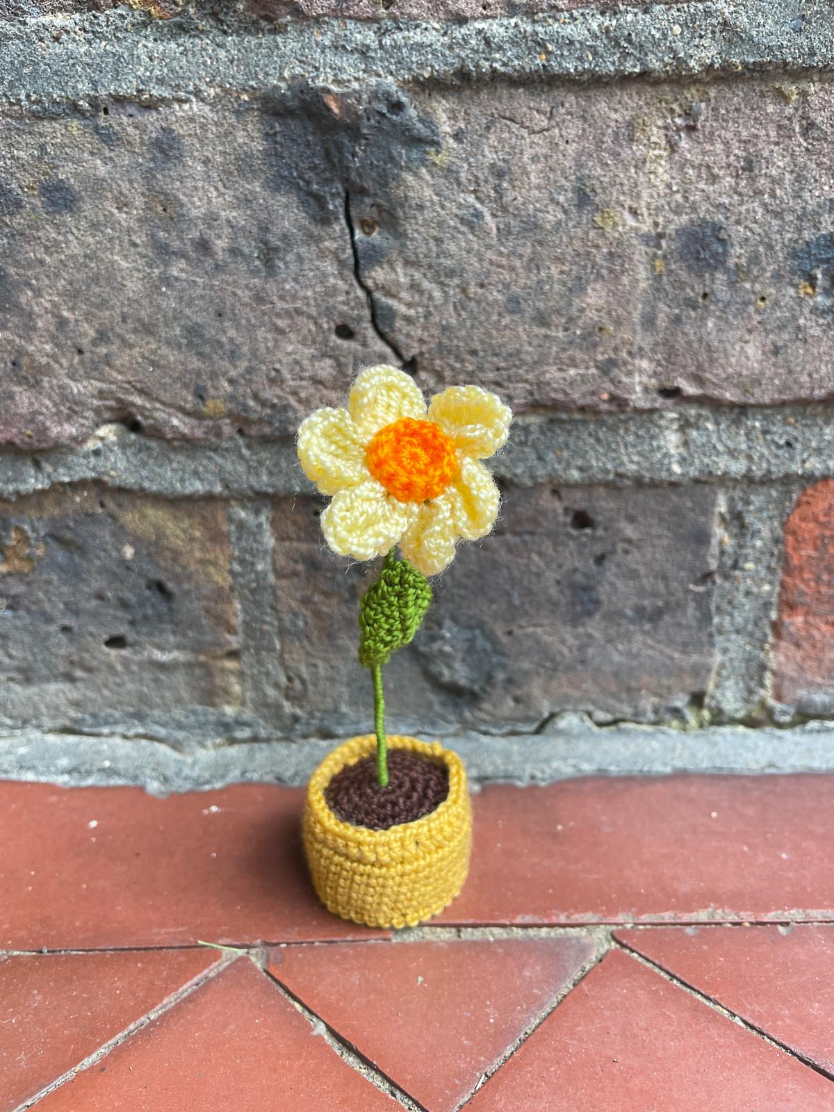 Mini Crochet Flowerpots
