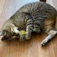 Christmas Catnip Cat Toy - 4 designs!