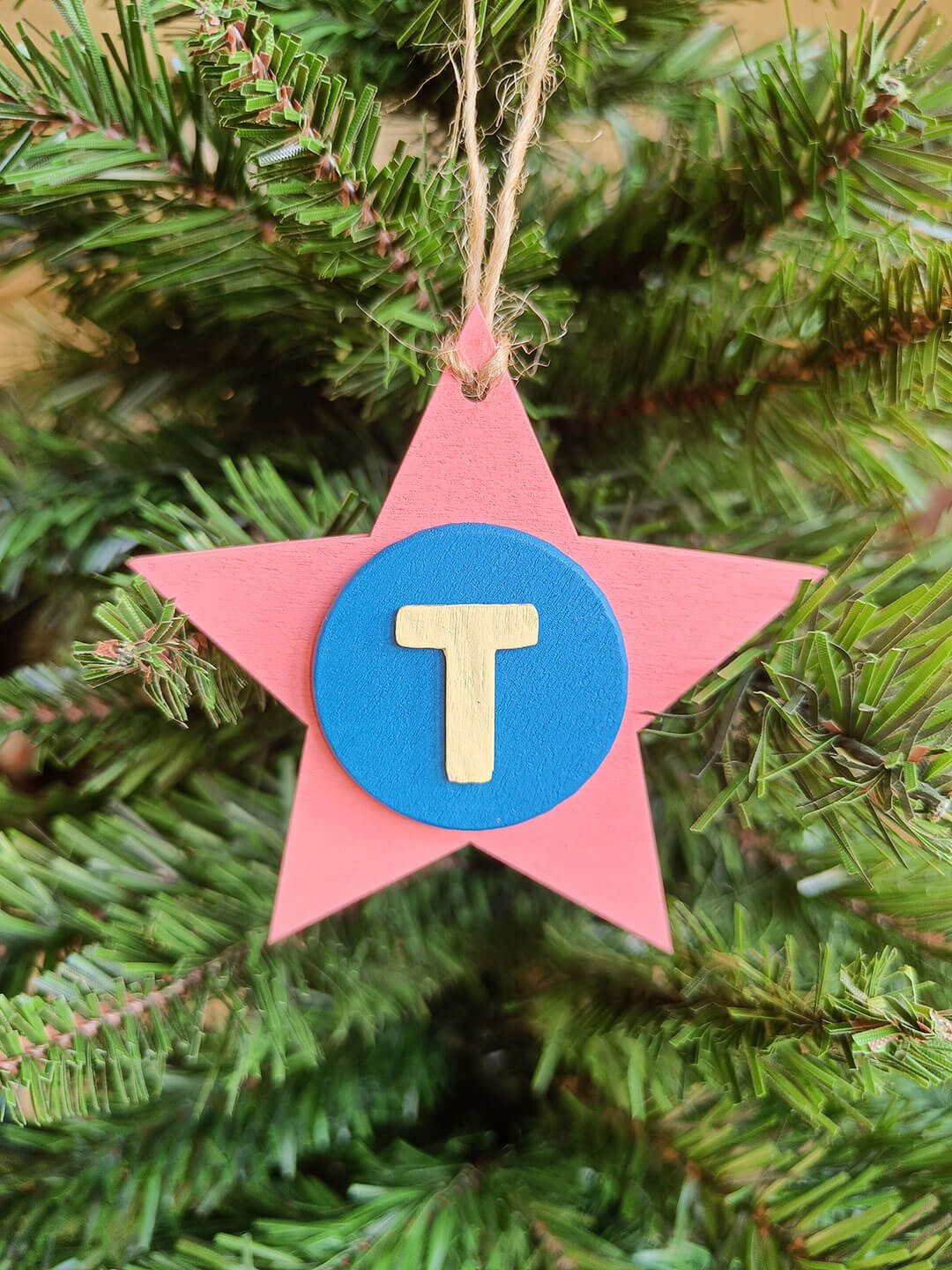 Latin Alphabet Stars Hand Painted Decorative Ornaments or Gift Tags