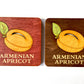 Armenian Apricot Coaster we