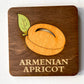 Armenian Apricot Coaster we