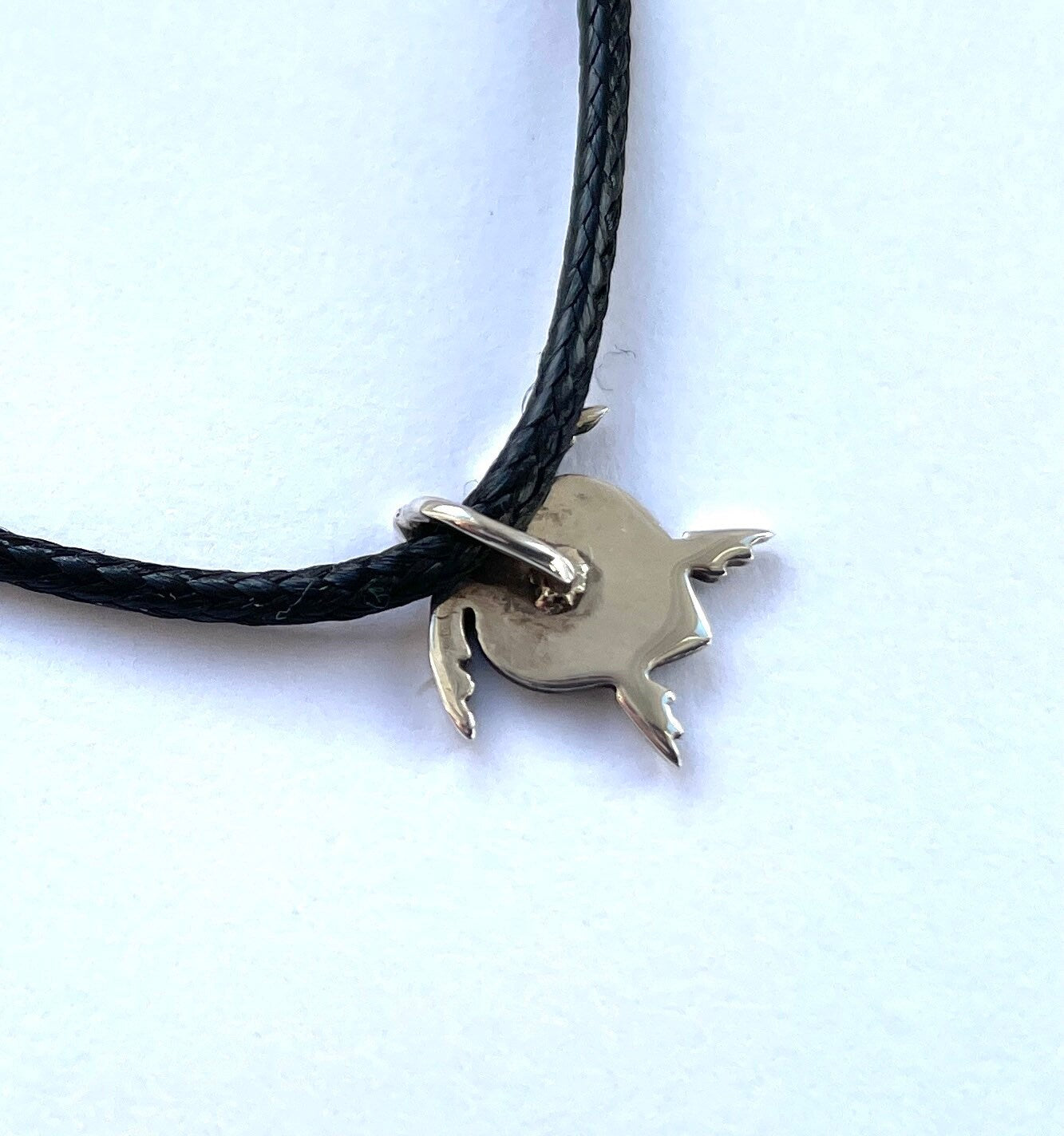 Eternity Turtle 925 Sterling Silver Pendant Necklace