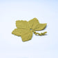 Grape Leaf Coasters, Set of 3